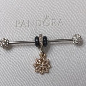 Pandora Silver 14k Clear CZ Lace Botanique Dangle Charm/Pendant